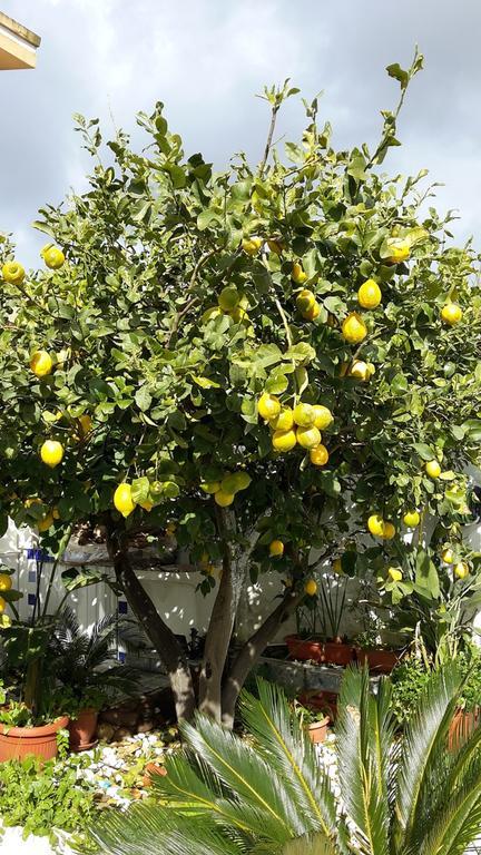 Càbras B&B Gi & Gio מראה חיצוני תמונה